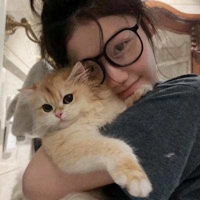 波拉大历险